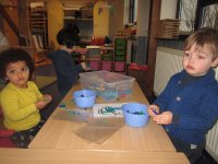 IMG_7923.jpg