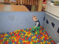 IMG_7928.jpg