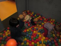 IMG_7942.jpg