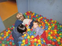 IMG_7943.jpg
