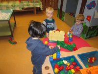 IMG_7946.jpg