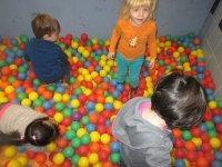 IMG_7964.jpg