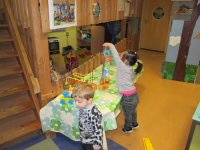 IMG_7972.jpg