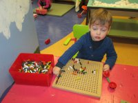 IMG_7977.jpg