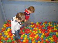 IMG_8033.jpg