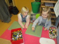 IMG_8034.jpg