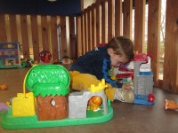 IMG_8082.jpg