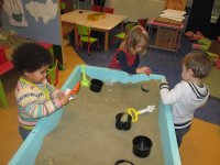IMG_8086.jpg