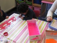 IMG_8116.jpg