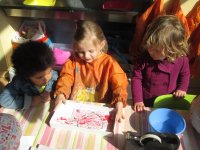 IMG_9950.jpg