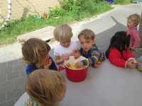 IMG_0292.jpg