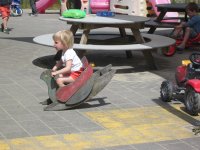 IMG_0302.jpg