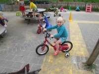 IMG_0321.jpg