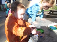 IMG_0342.jpg