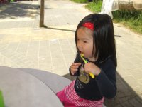 IMG_0379.jpg