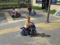 IMG_0132.jpg