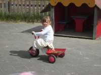 IMG_0133.jpg