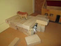 IMG_0538.jpg