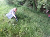 IMG_0543.jpg