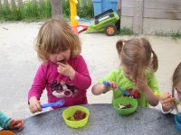 IMG_0621.jpg