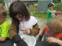 IMG_9516.jpg