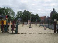 IMG_9847.jpg