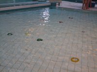 IMG_6401.jpg