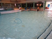 IMG_6526.jpg