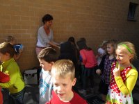 IMG_6574.jpg