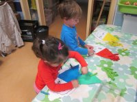 IMG_2519.jpg