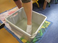 IMG_2537.jpg
