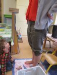 IMG_2540.jpg