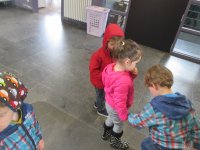 IMG_2552.jpg