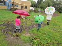 IMG_2564.jpg