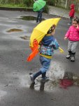IMG_2574.jpg