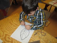 IMG_1202.jpg