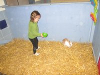 IMG_3020.jpg