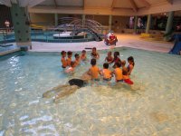 IMG_6874.jpg