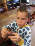 IMG_6918.jpg