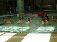 IMG_6985.jpg