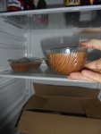 DSC06683.jpg