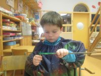 IMG_2186.jpg
