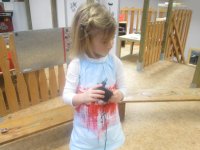 IMG_2236.jpg