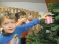 IMG_2239.jpg