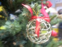 IMG_2243.jpg