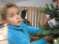 IMG_2251.jpg
