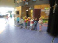 IMG_2253.jpg