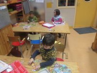 IMG_2271.jpg