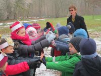 IMG_9138.jpg
