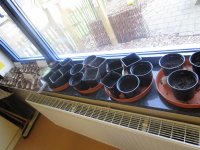 IMG_9965.jpg
